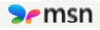 ��� ���� MSN �� ���������